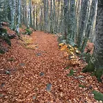 Orée Des Bois Сasa de vacaciones