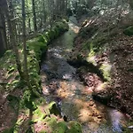 Orée Des Bois Сasa de vacaciones Vertolaye