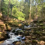 Сasa de vacaciones Orée Des Bois
