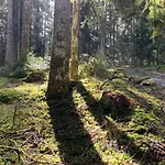Сasa de vacaciones Orée Des Bois Vertolaye