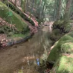 Orée Des Bois * Vertolaye