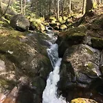 Orée Des Bois Сasa de vacaciones Vertolaye