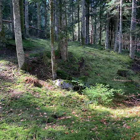 Orée Des Bois