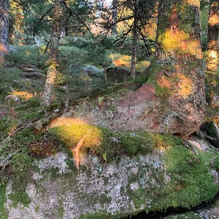 Orée Des Bois *