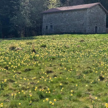 Orée Des Bois Сasa de vacaciones