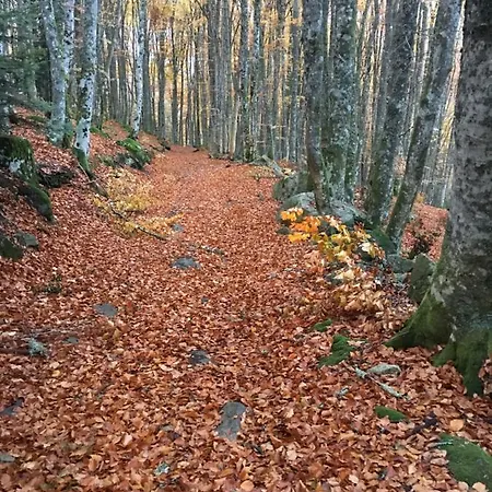 Orée Des Bois Casa vacanze