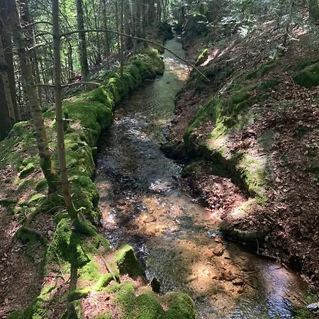 Orée Des Bois Casa vacanze Vertolaye