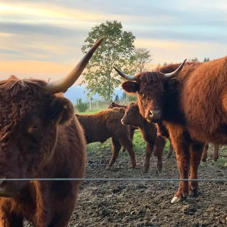 Casa vacanze Orée Des Bois