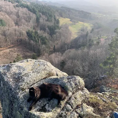 Casa vacanze Orée Des Bois Vertolaye