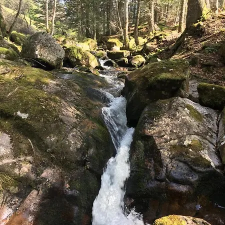 Orée Des Bois Casa vacanze Vertolaye