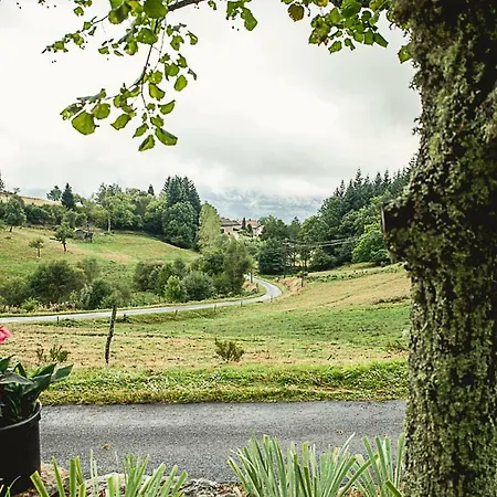 Orée Des Bois * Vertolaye