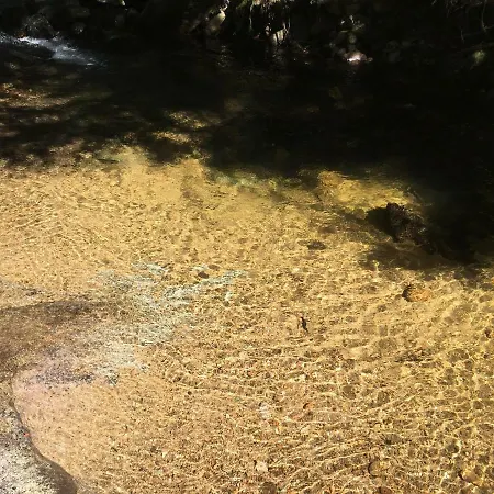 Orée Des Bois * Vertolaye